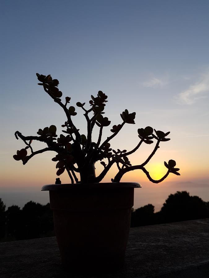 Il Rifugio B&B Capri Anacapri  Eksteriør billede