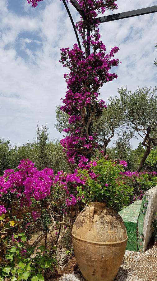 Il Rifugio B&B Capri Anacapri  Eksteriør billede